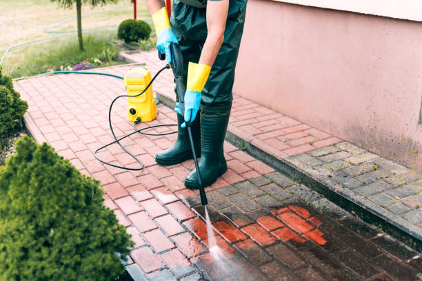 Pre-Holiday Cleaning in Spring Arbor, MI